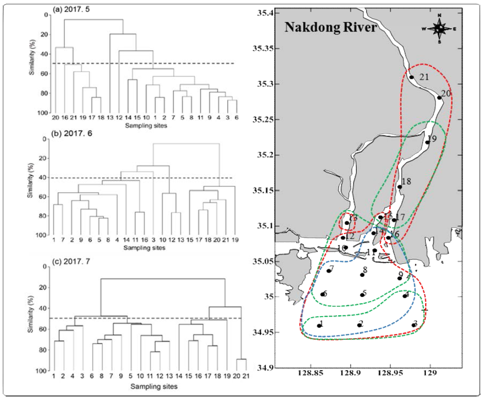 Similarity analysis of phytoplankton community and Grouping based on similarity in 2017