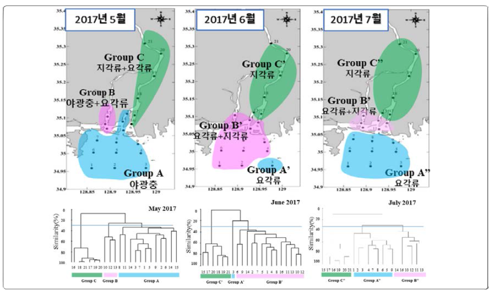 Dendrogram of clustered groups by the Bray-Curtis dissimilarity based on zooplankton abundance in the Nakdong River estuary during 2017