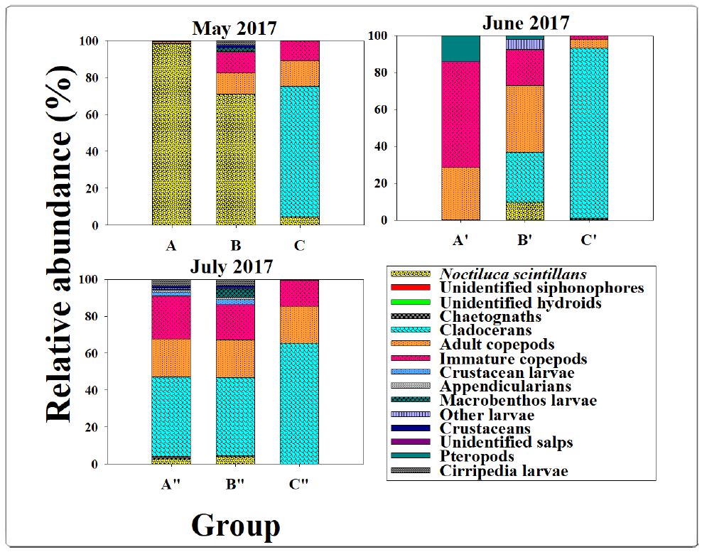 Relative abundance (%) of taxonomic groups in zooplankton community according to clustered groups in Nakdong River estuary during 2017