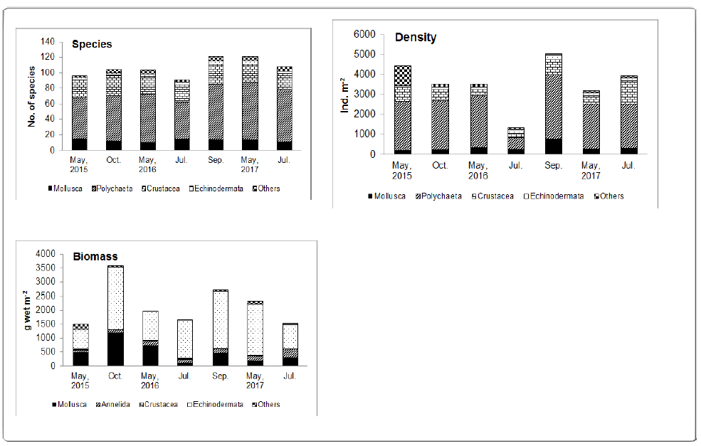 The compositions at each fauna group of macrobenthos during the study period in the subtidal area of the Nakdong River estuary