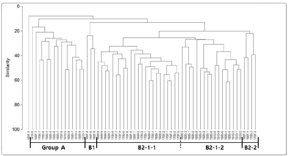 Cluster plot based on abundance data at subtidal sites during the study period (“1607_3” means Jul., 2016 st. 3)