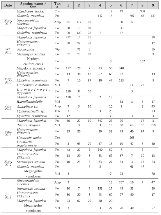 The dominant species and density at sites in subtidal area during the study period (unit: ind. m-2)