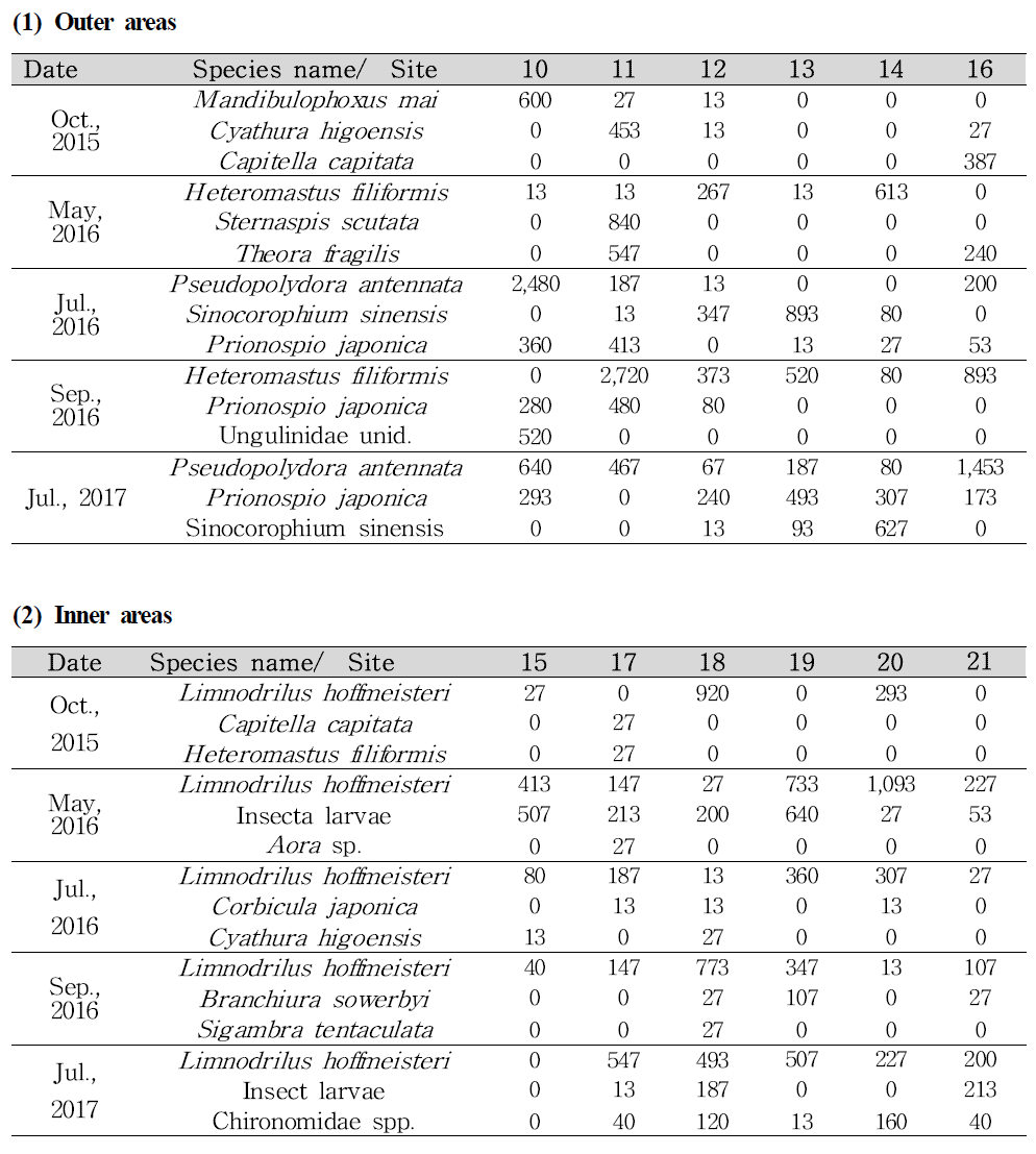 The dominant species and density at sites in the brackish (outer) and fresh water (inner) areas during the study period (unit: ind. m-2)