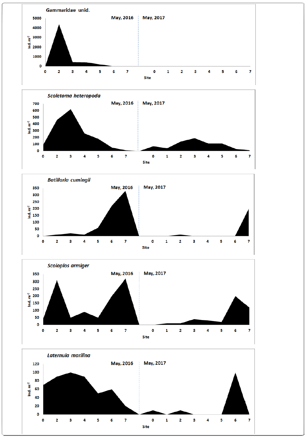 The spatial distribution patterns of dominant species in May, 2016 and 2017 in the Jinwoo-do tidal flat