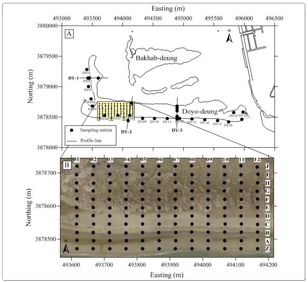 Location of surface sediment sampling stations of Doyo-deung. (A) Station along the shoreline and profile line (B) Sampling stations of Grain size trend analysis (GSTA)