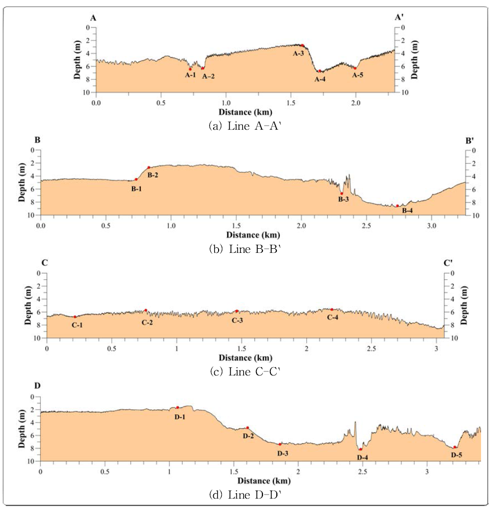 Bathymetric profiles of the main channel in the Nakdong River Estuary