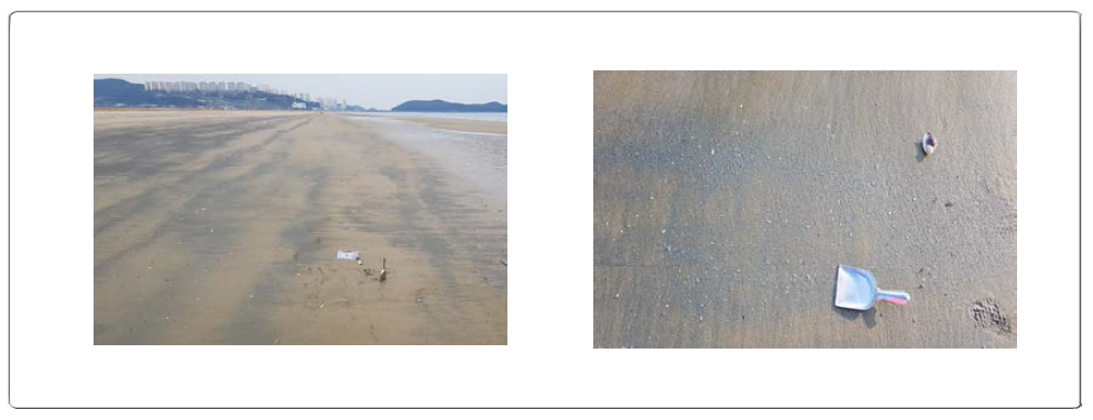 Mica distribution (dark stripes) along the shoreline