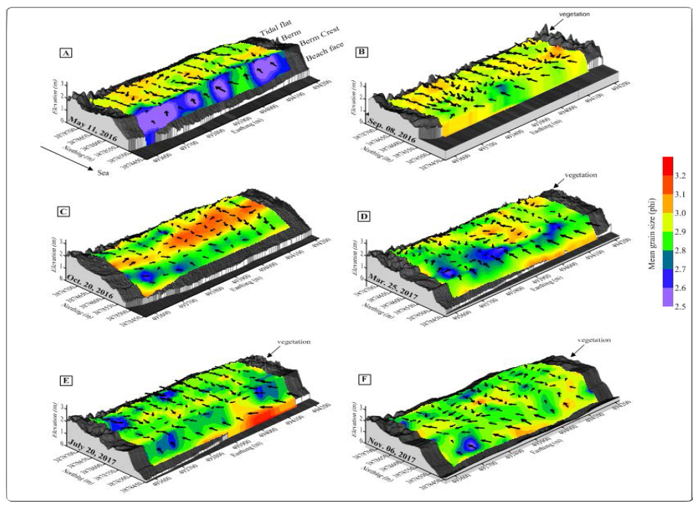 Three-dimensional topography and surface sediment distribution with grain size trend vectors