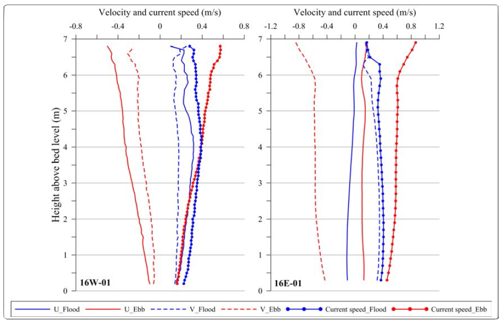 Vertical change of current velocity in 2016