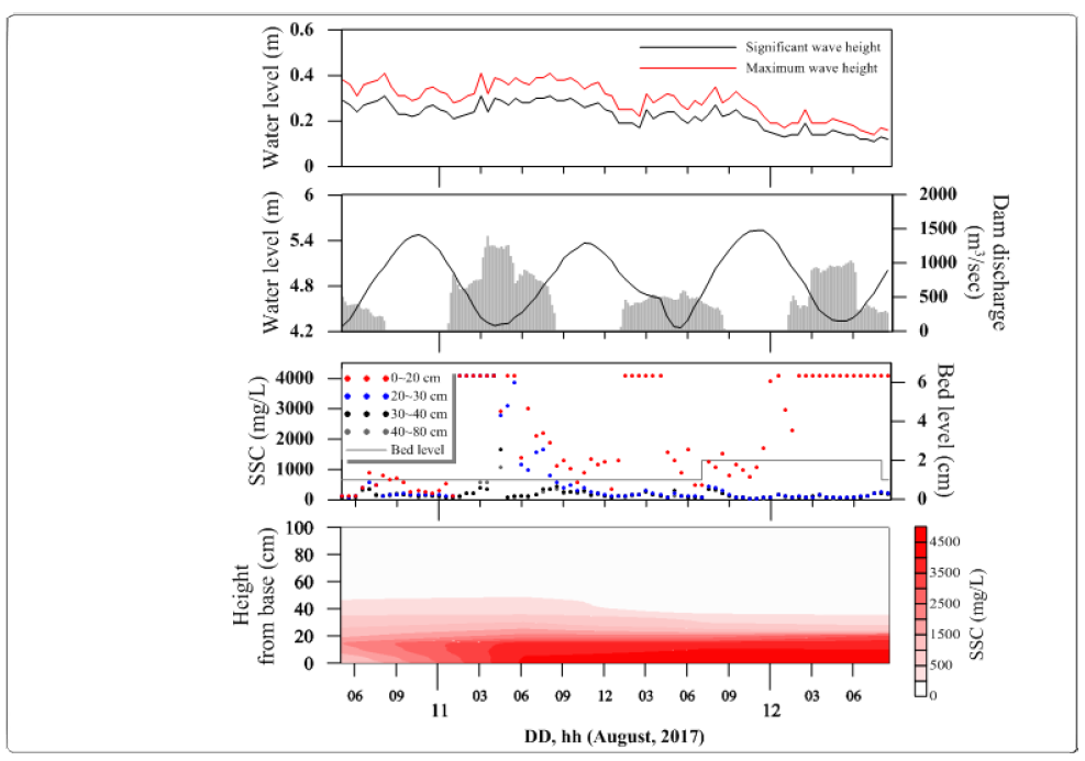 Time-series of wave height, water level, dam discharge and suspended sediment concentration at station of 17W-01