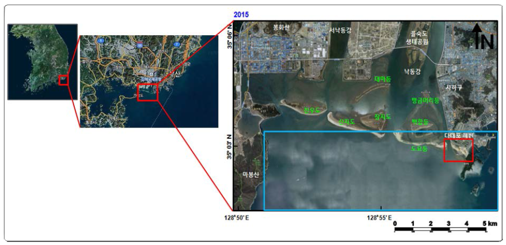 Study area of Daadepo Beach near the mouth of Nagdong River