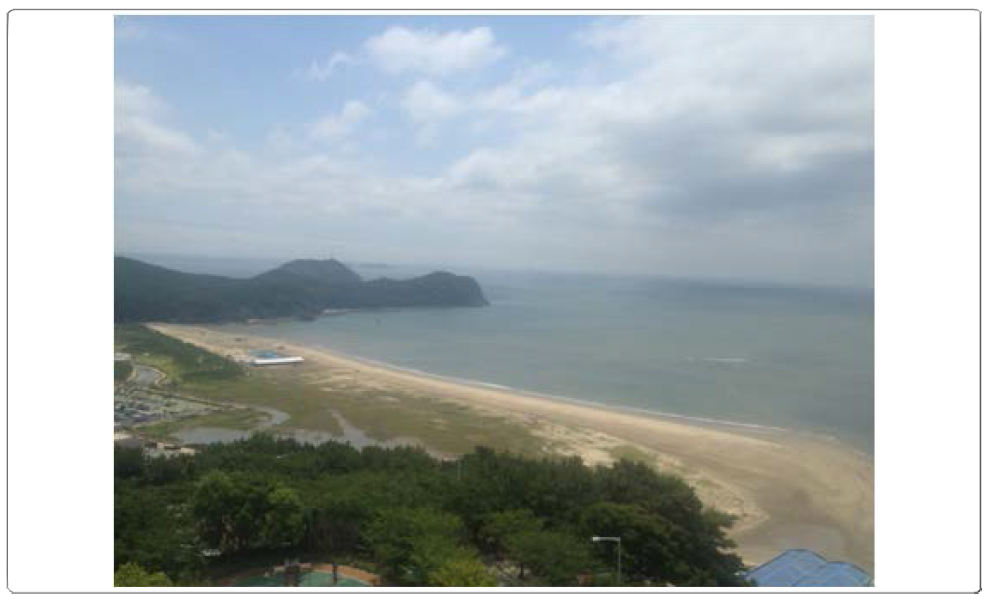 The photo of Dadaepo Beach viewing from Aminsan Mountain