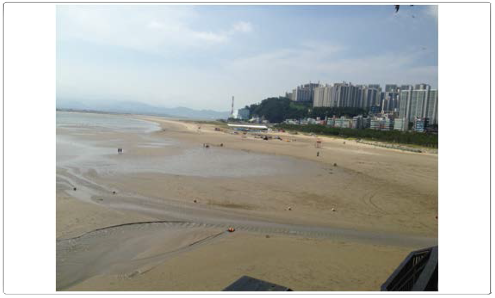 The photo of Dadaepo Beach seeing from the southeast at Molwoondae to the northwest