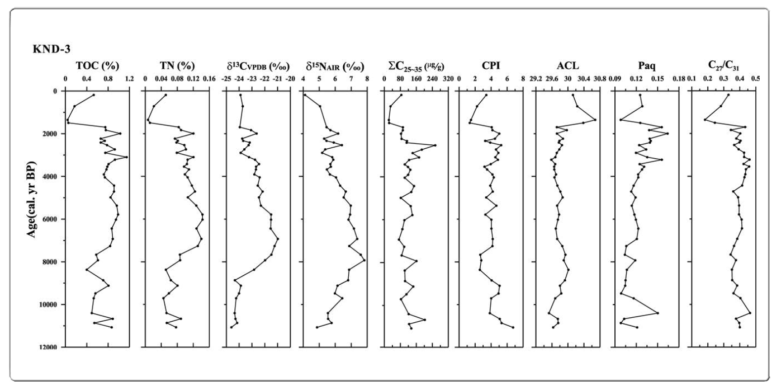 Organic geochemistry analysis results of KND-3 drilling core