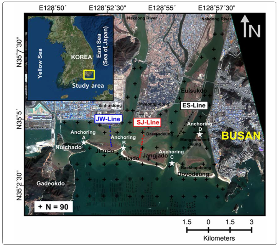 Location map of three transect lines for geomorphic measurements, 90 surface sediment sampling stations, and four stations (A, B, C, D) for hydrodynamic measurements