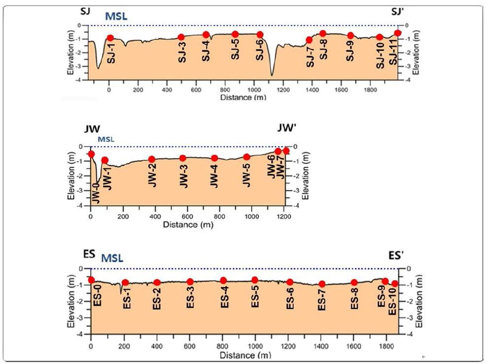 Elevation relative to mean sea level (MSL) along the SJ, JW, and ES lines