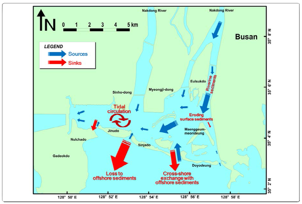 Diagram of sedimentary processes in the barrier-lagoon system within the Nakdong River Estuary