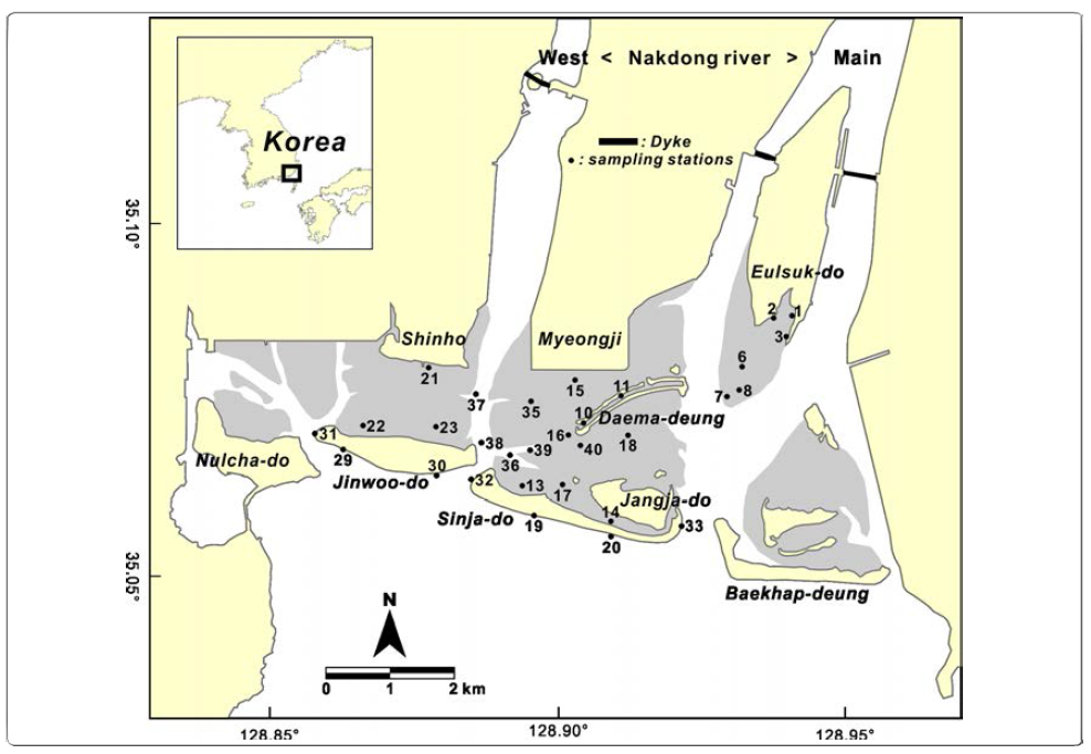 Map of the Nakdong River Estuary showing the sample stations