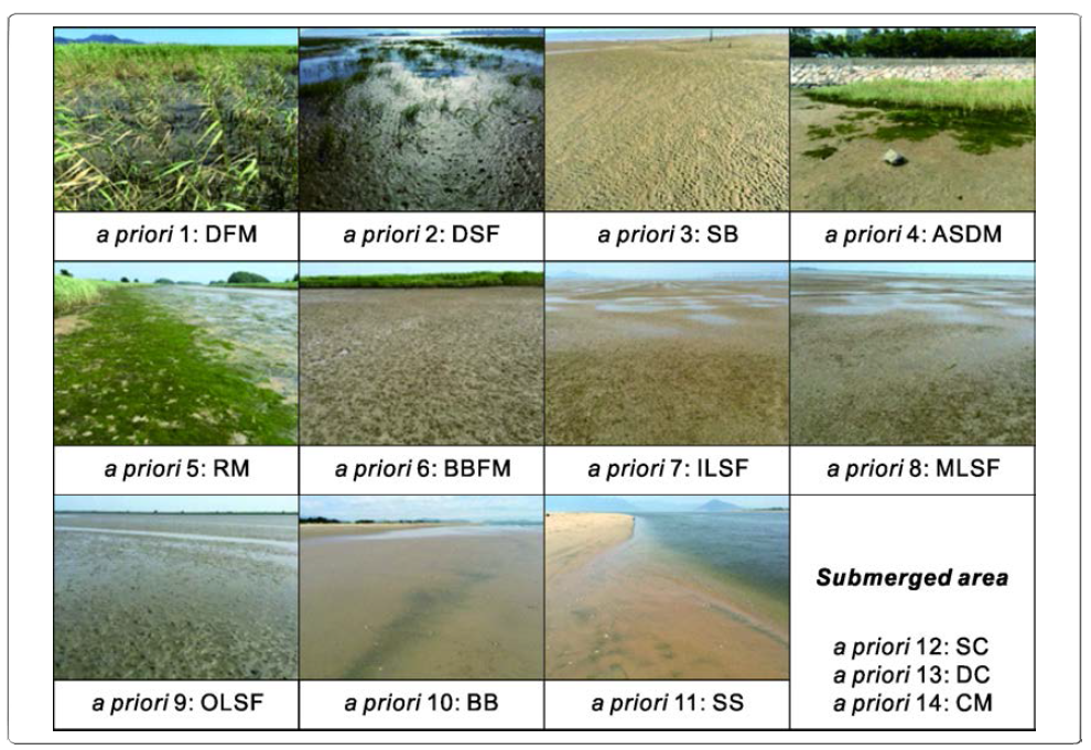 Landscape classification (14 a priori groups) of the Nakdong River Estuary (see Table 3-2-1)