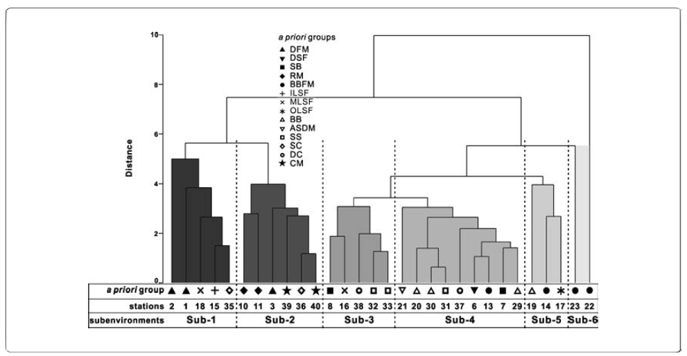 Dendrogram based on the Cluster analysis of the parameters related to grain size and organic matter