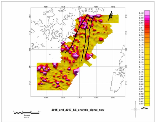 Analytic signal map of the study area. Black solid lines are the locations of Quaternary faults inferred from seismic profiles
