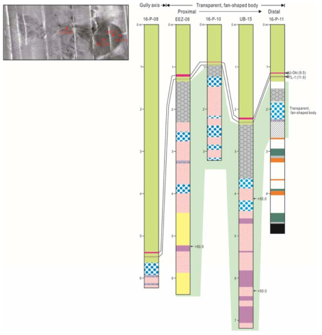Sedimentary facies of core sediments in gully axis and Uljin deep-sea fan (Lee et al., submitted)