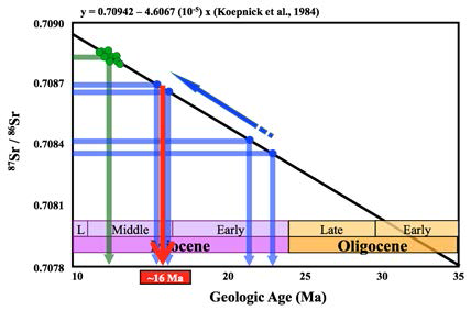 The age of the lower core determined using Sr isotope (blue) and the age of the tephra stratigraphic sequence inferred(green). This agrees with the Sr isotope age(green) of the carbonate sediment found in the Korea Plateau