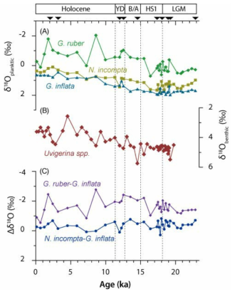 NPGP1302-1B 내 부유성(A) 및 저서성(B), 유공충의 산소동위원소조성 및 부유성유공충 종간 차이(C)