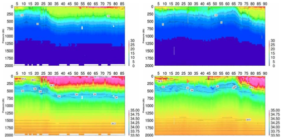 Argo 플로트에서 관측한 수온과 염분 분포. 2901780(왼쪽)과 2901779(오른쪽)