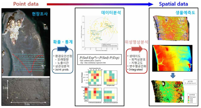 저서생물분포 예측도 제작방법 개념도