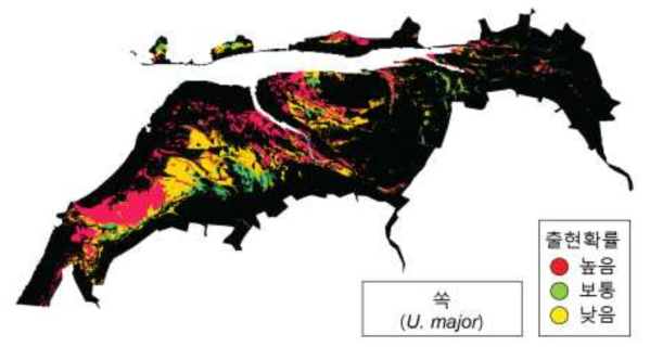 곰소만 갯벌 쏙(U . major) 중분류 저서생물분포 예측도