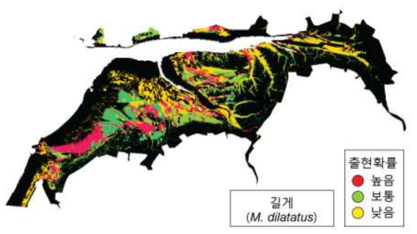 곰소만 갯벌 길게(M . dilatatus) 중분류 저서생물분포 예측도