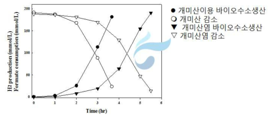 고세균 NA1에 의한 개미산이용 바이오수소 생산 회분배양 결과