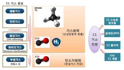 C1 가스 리파이너리 사업단 기술개발 분야