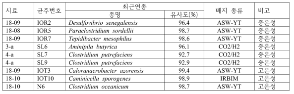 분리 균주의 분자동정 결과