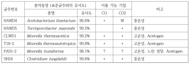 CO 또는 CO2 이용균주 특성 분석