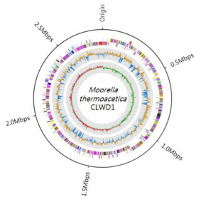 Moorella thermoacetica CLWD1 균주의 유전체 지도