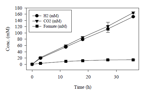 nadFd3NHisCoL1C1128 균주의 Resting cell 결과