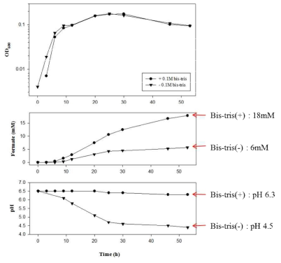 clnFd3CoL1C1118 균주의 세포성장에 따른 formate 생합성