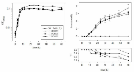 nadFd3CoL1C1118DF123, nadFd3CoL2C1119 DF123, nadFd3CoL3C1120DF123의 세포성장, formate 생산, pH 변화 관찰