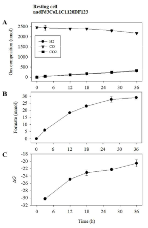 nadFd3CoL1C1118DF123 균주의 Resting cell에 의한 CO가스의 개미산 전환. (A) CO의 소모와 H2, CO2의 발생. (B) 개미산 생산. (C) ΔG 에너지의 변화