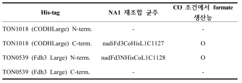 CODH-Fdh3 단백질 complex의 분리를 위한 His-tag 클로닝 결과