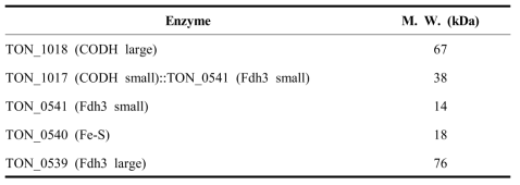 CODH-Fdh3 complex를 구성하는 단백질들의 예상 분자량