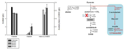ACS I, II, III 유전자가 각각 제거된 돌연변이 균주의 2,3-BDO 생산능 분석