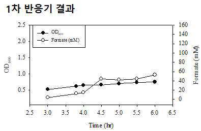 T. onnurineus BCF01 균주의 1차 반응기 결과