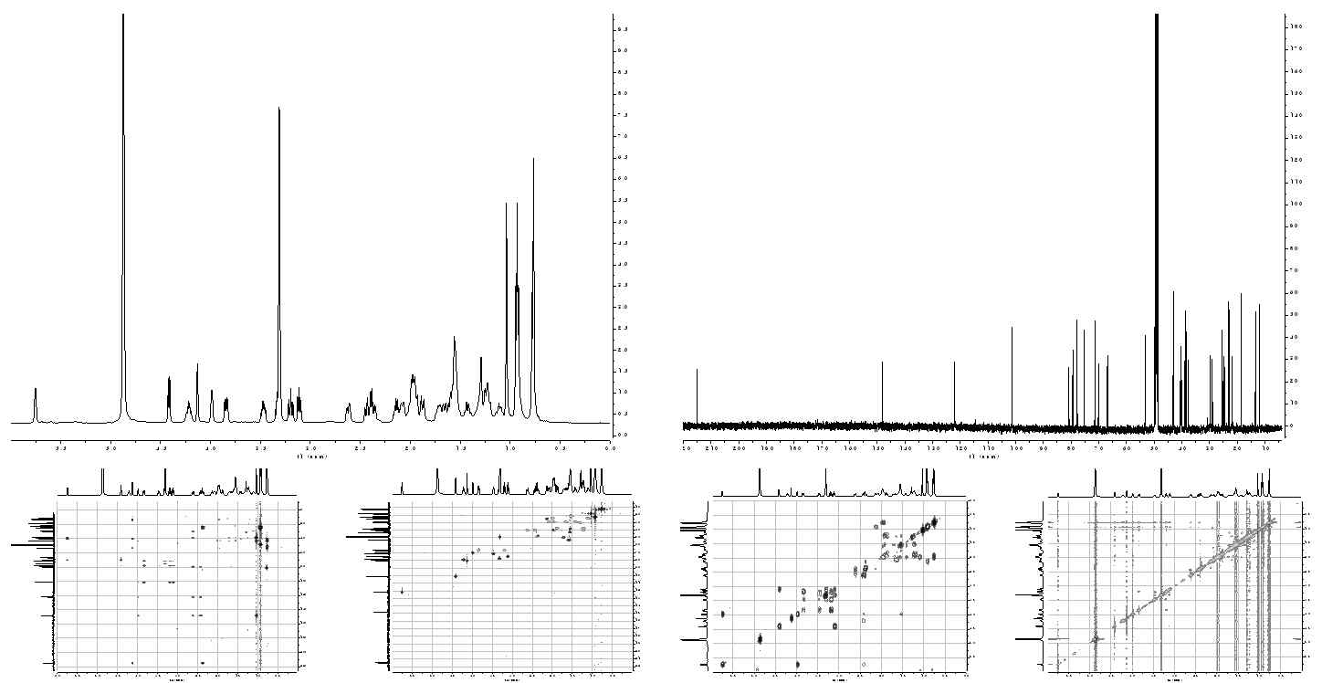 1D and 2D NMR spectra of compound C3