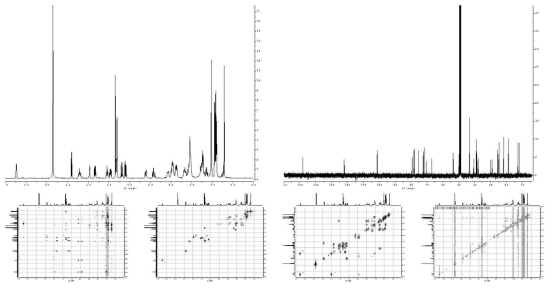 1D and 2D NMR spectra of compound C4