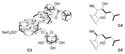 Key COSY, HMBC correlations of compounds C3-C5