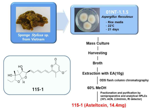 Compound 115-1 isolated from the culture broth of the strain 01NT-1.1.5