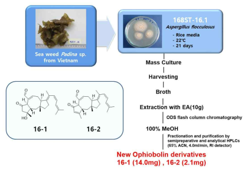 Two new toxins, 16-1 and 16-2, isolated from the culture broth of the strain 168ST-16.1